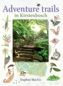 Adventure Trails in Kirstenbosch