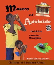 Mauro and Adelaide: their live in Quelimane, Mozambique