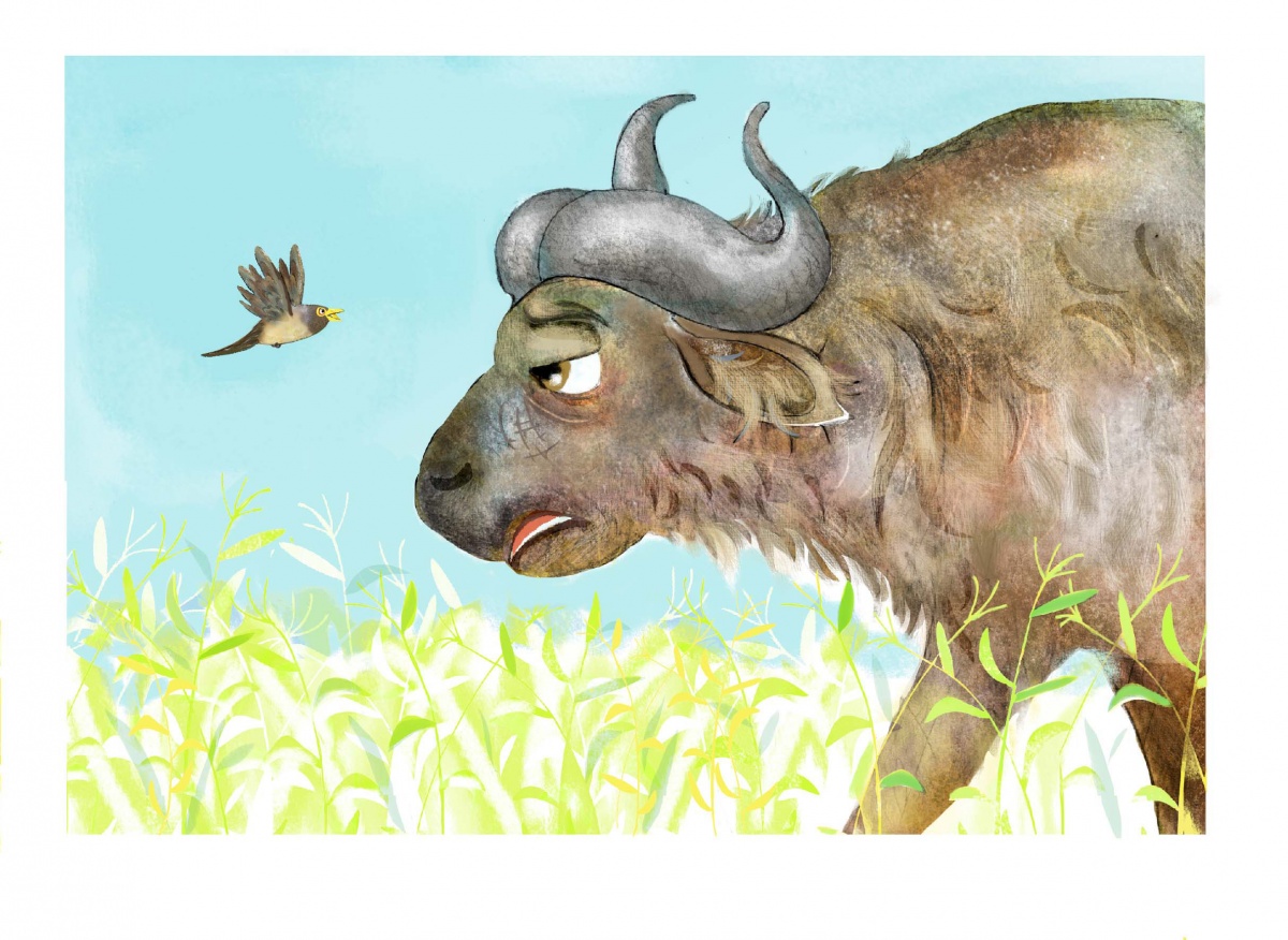 tale-buffalo-and-oxpecker