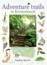 Adventure Trails in Kirstenbosch